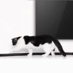 კაბელ მენეჯერი UGREEN LP121 (30820) Cable Organizer, 5m, Black - Image 10